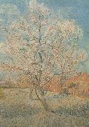 Vincent Van Gogh Peach Tree in Blossom (nn040 oil painting picture wholesale